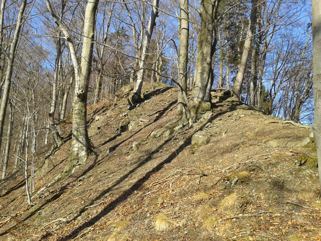 Wellness Pension Iveta Žacléř 外观 照片