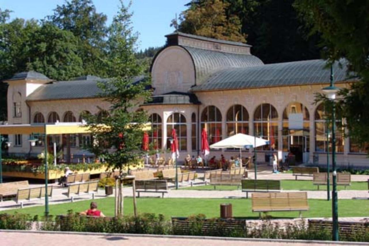 Wellness Pension Iveta Žacléř 外观 照片